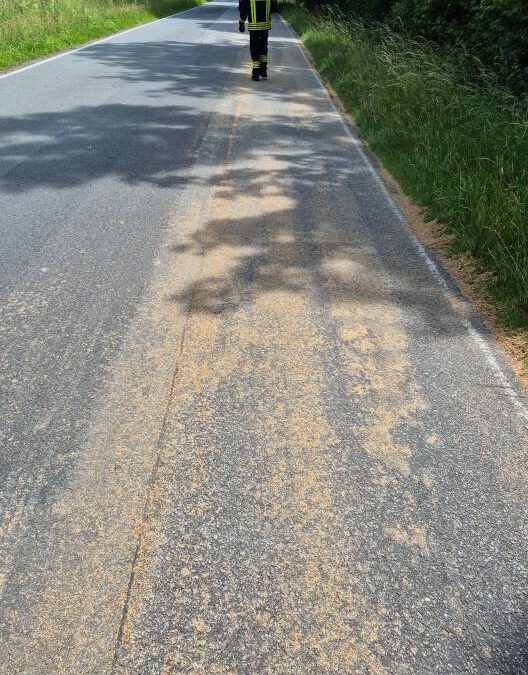 H 1 Hilfeleistung klein