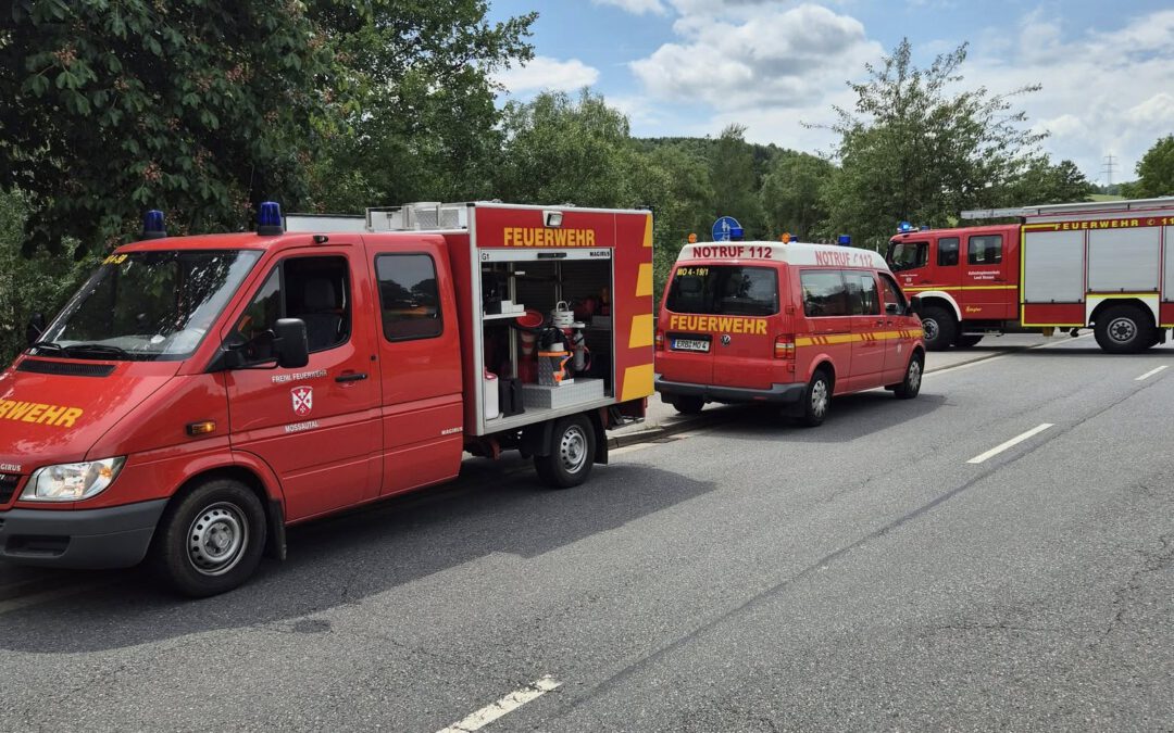 H 1 Hilfeleistung klein