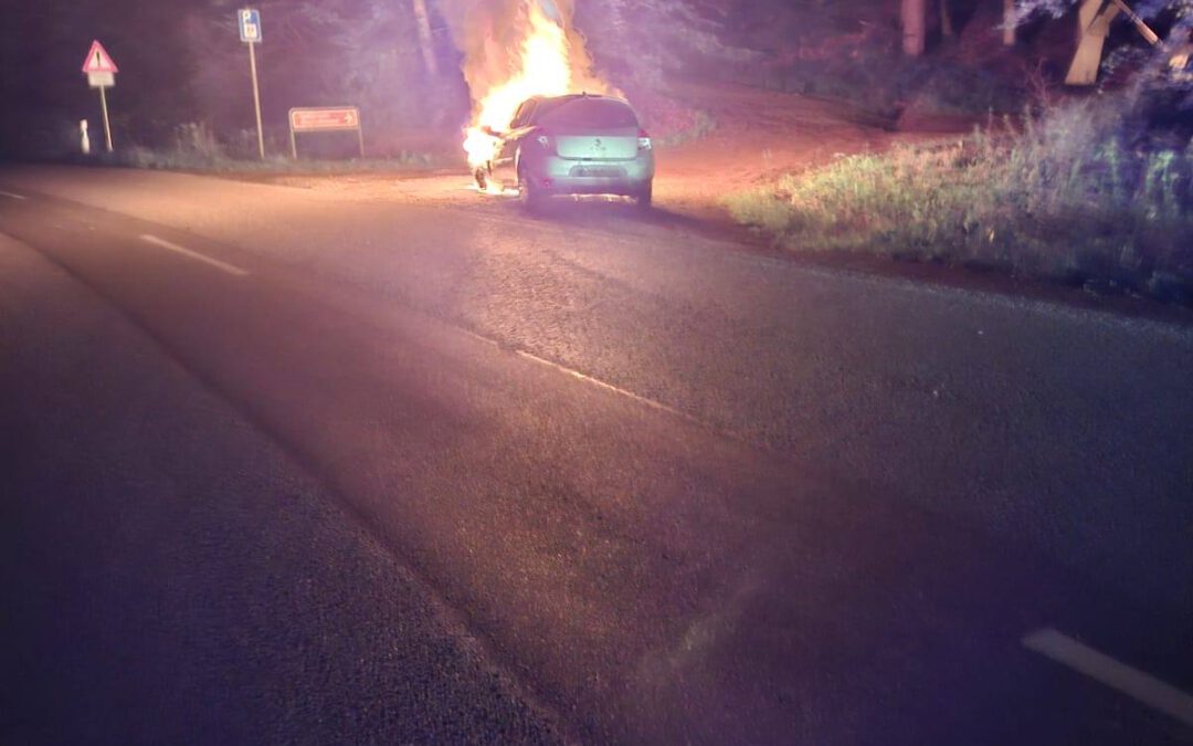F1 PKW Fahrzeugbrand