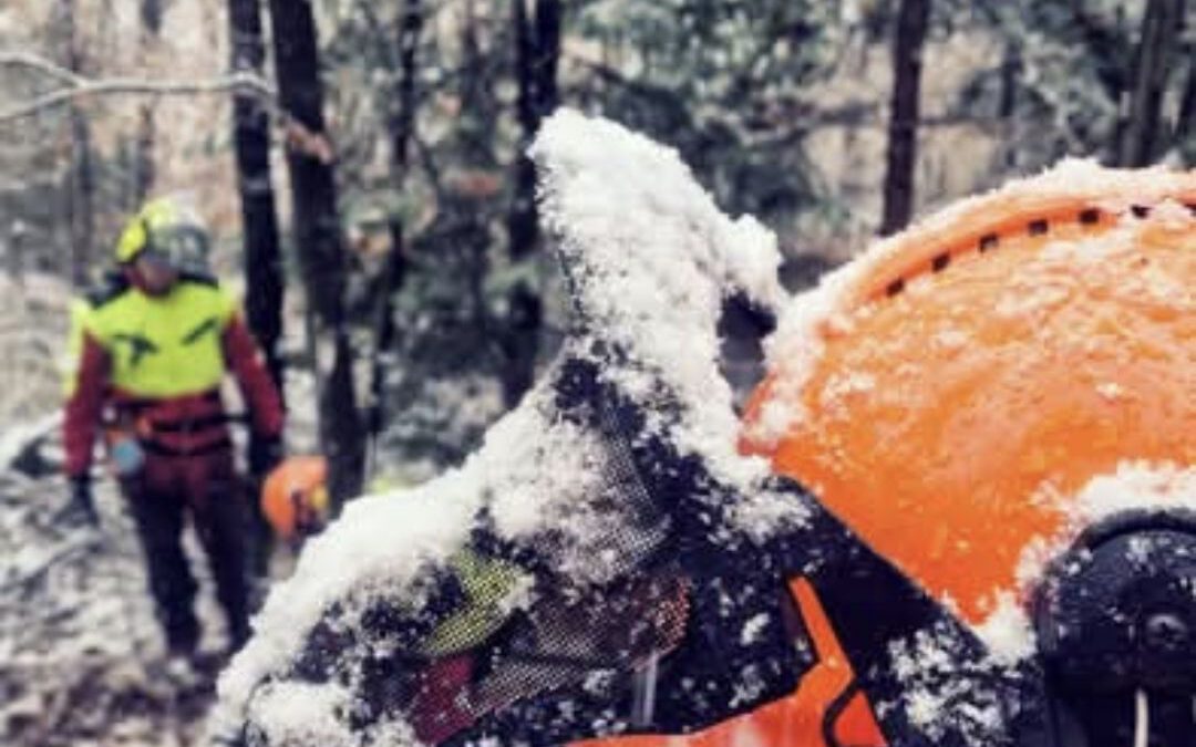 H1 Hilfeleistung klein