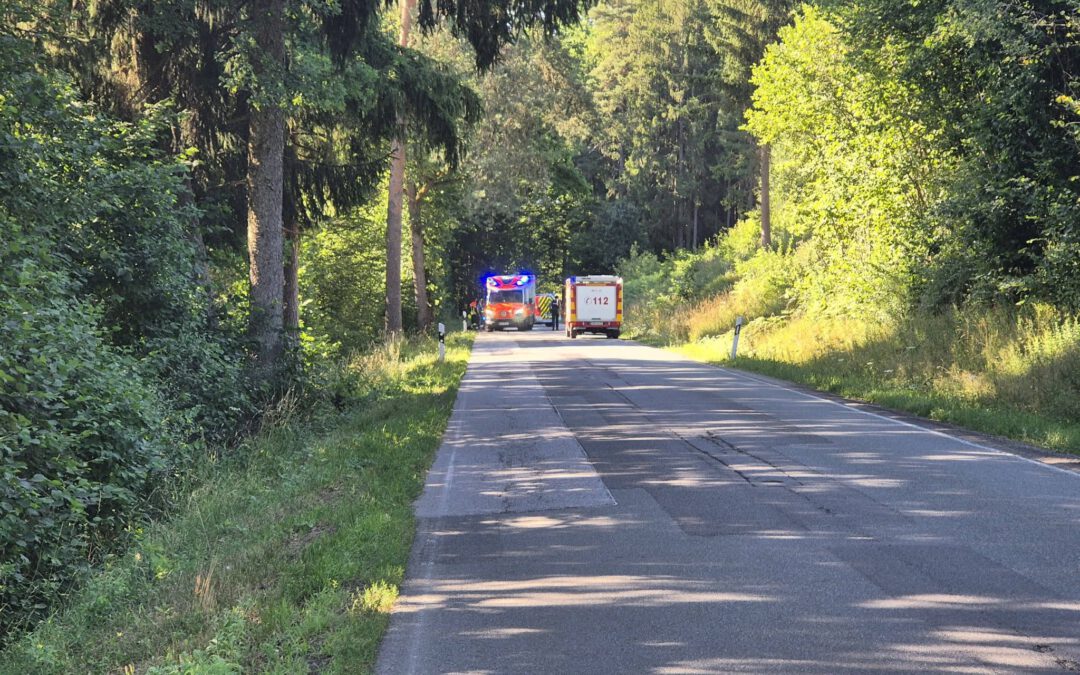 H 1 Hilfeleistung klein (Absicherung)