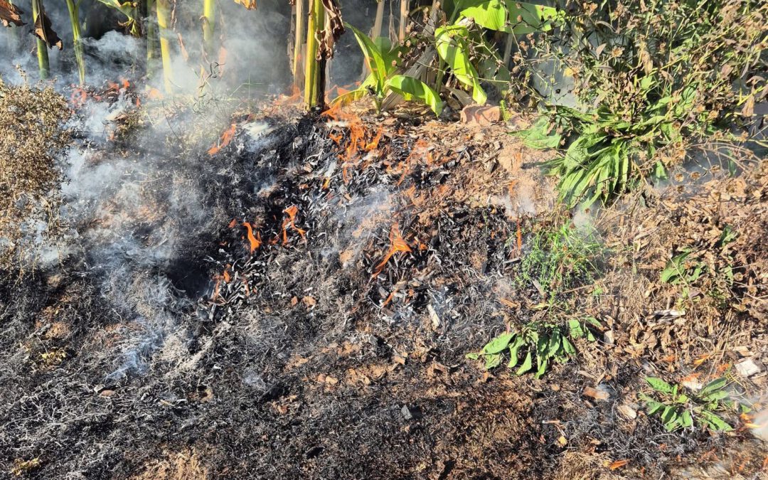 F 1 Kleinbrand/Hecke